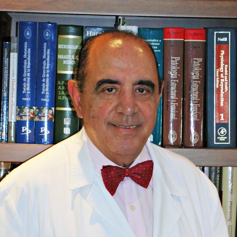 Jose-Maria-Roman-Santamaria Dr. José María Román Santamaría