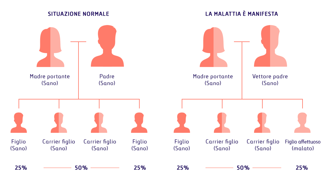 Analisi di Compatibilità Genetica (Genetic Matching)
