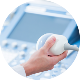 Test di fertilità ed ecografia clinica tambre
